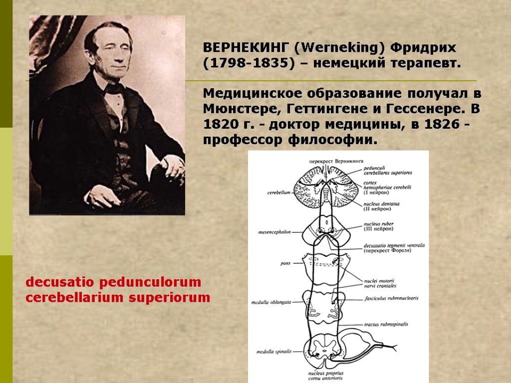 ВЕРНЕКИНГ (Werneking) Фридрих (1798-1835) – немецкий терапевт. Медицинское образование получал в Мюнстере, Геттингене и